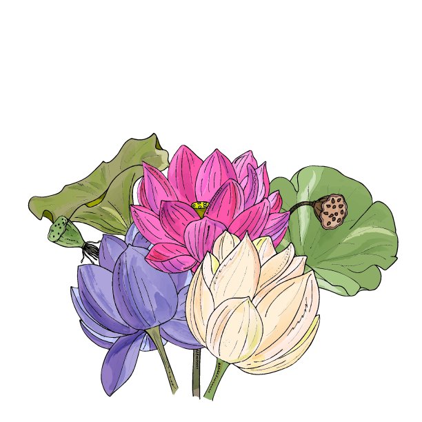 •1/2]3/42]1/2 2 2 GB图片下载