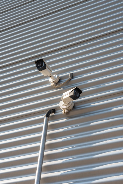 双闭路电视摄像头在墙上阴影晴天夏季公共间谍监视空间的文本图片下载