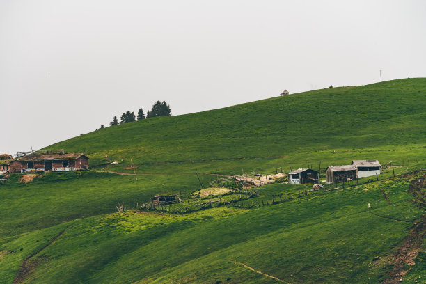 中国新疆江布拉克风景名胜区。图片下载