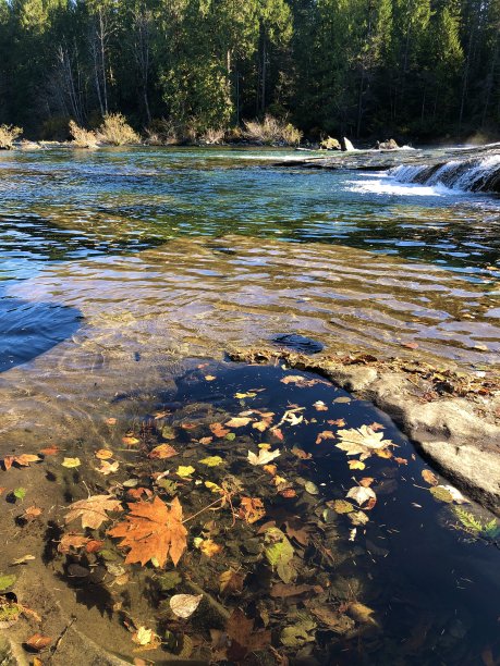 季节变化图片下载
