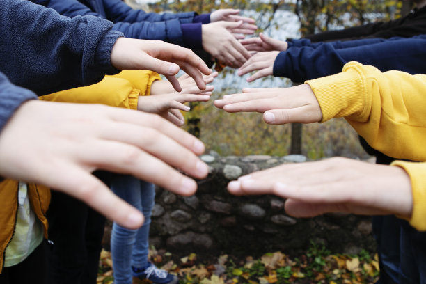 许多手靠近，试图连接，握手。户外,秋天,白种人。图片下载