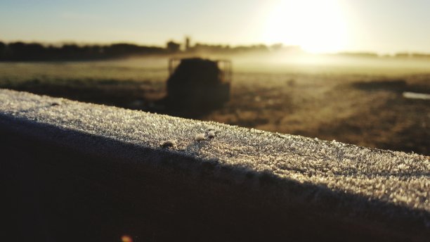 农田和霜图片下载