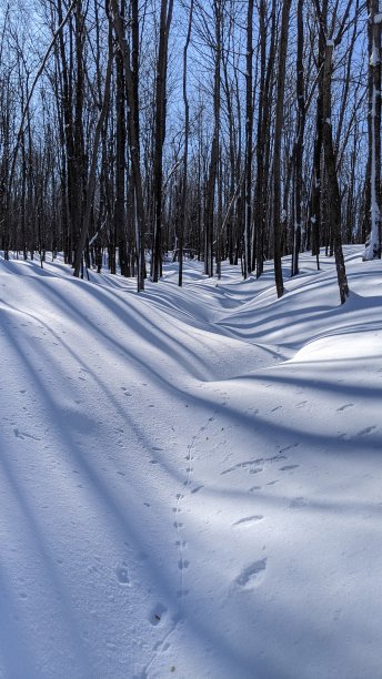 德高望重的小道(photo16)图片下载