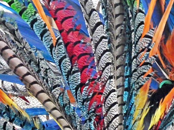 饰有阿兹特克羽毛的头饰图片下载