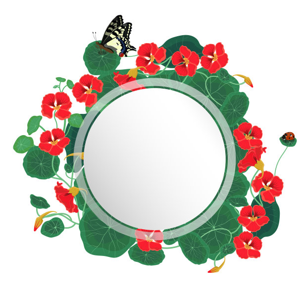 圆形框架与旱金莲在一个白色的背景。矢量图形。图片下载