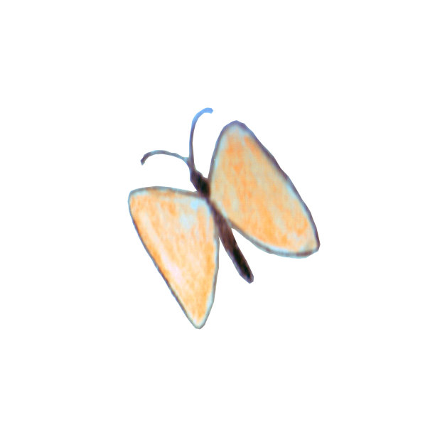 一只小小的神秘蝴蝶——象征着觉醒、春天、爱情。图片下载