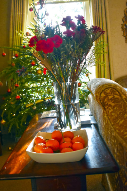 鲜花花瓶，康乃馨花与绿叶玻璃花瓶装饰客厅图片下载