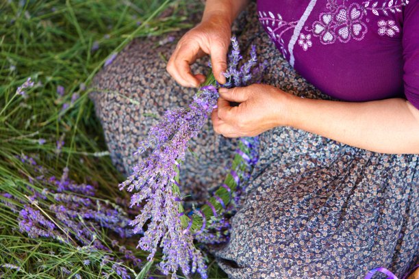 制作薰衣草花冠图片下载
