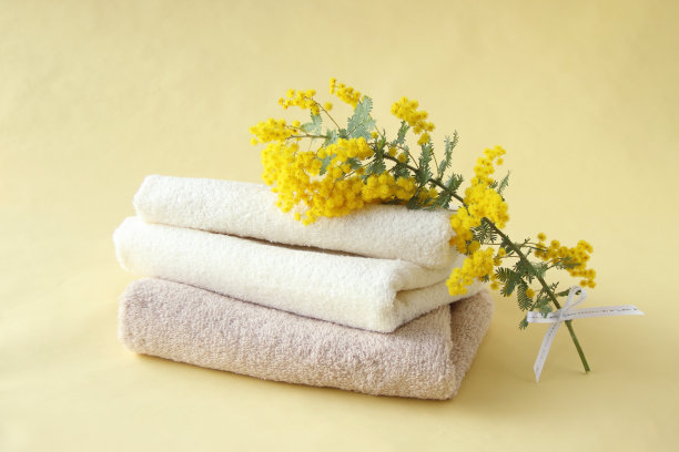 含羞草和毛巾图片下载