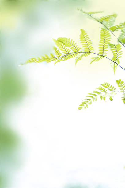 绿色reaf背景图片下载