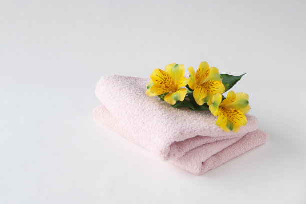 含羞草和毛巾图片下载