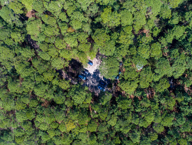 阿拉巴马州的多芬岛和盖恩斯堡图片下载