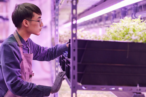 在温室工作的人图片下载