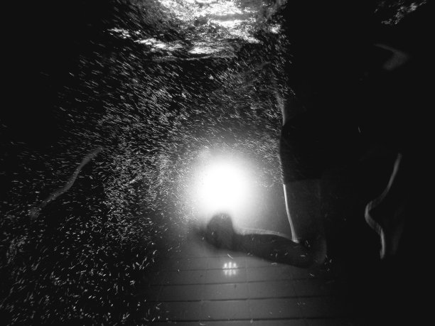 孩子们在游泳池里跳水图片下载