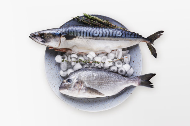 木板上的新鲜鲭鱼，以黑色为背景图片下载