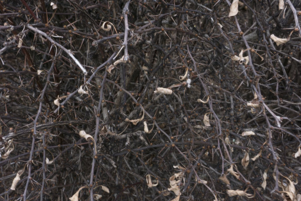 工厂背景图片下载