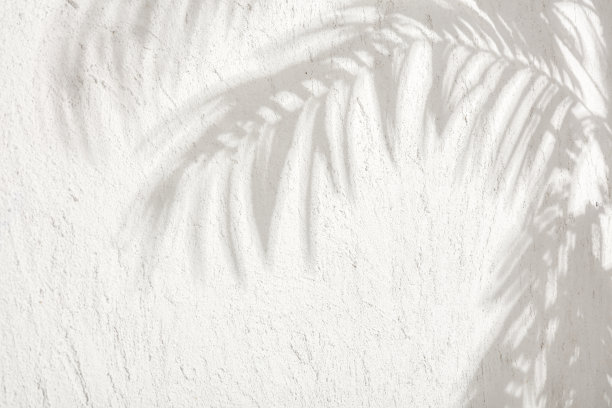 树叶的影子在一张白色的灰泥墙库存照片上图片下载