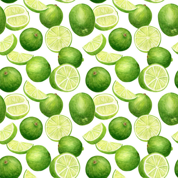 水彩石灰无缝图案。手绘植物图柑桔片和孤立的水果在白色的背景。图片下载