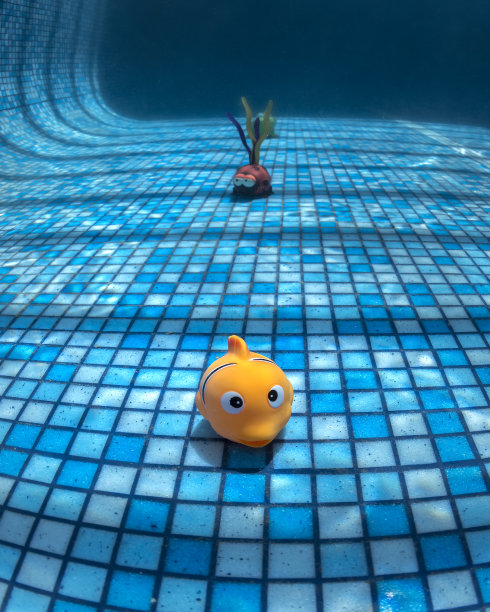 游泳池里的乐趣图片下载