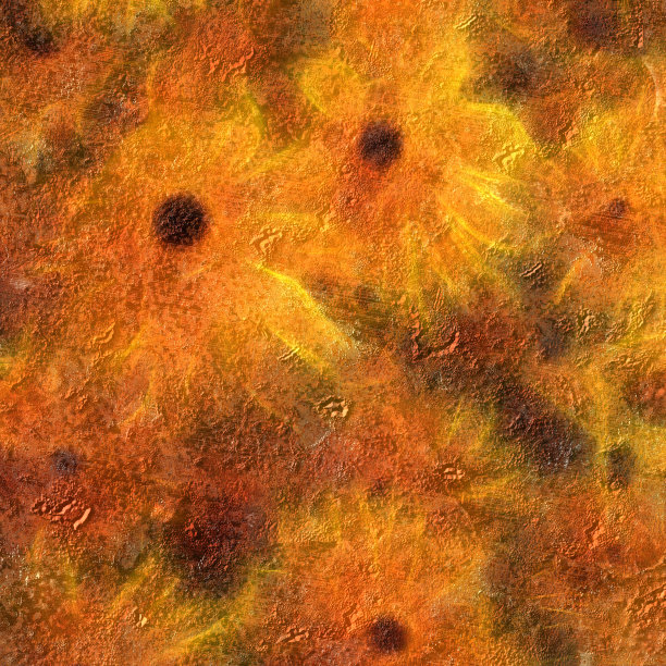 黑眼苏珊图片下载