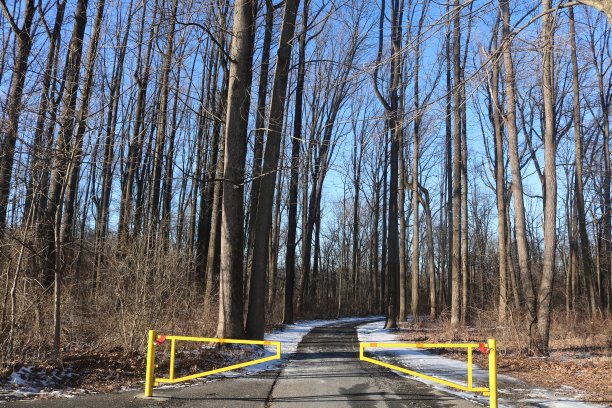 公园入口图片下载