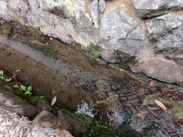 日本奈良的景色图片下载