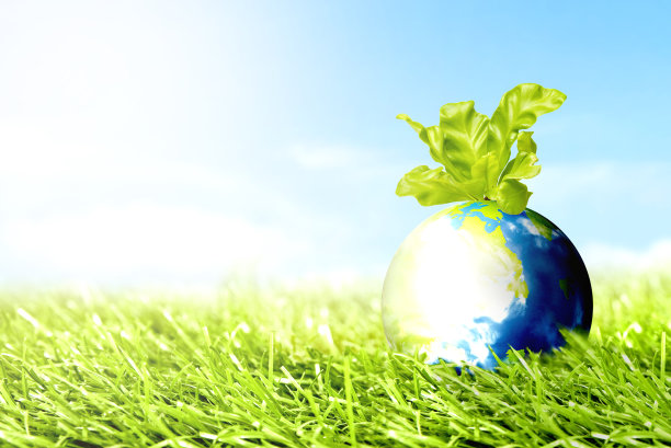 地球：草地上方生长着植物图片下载