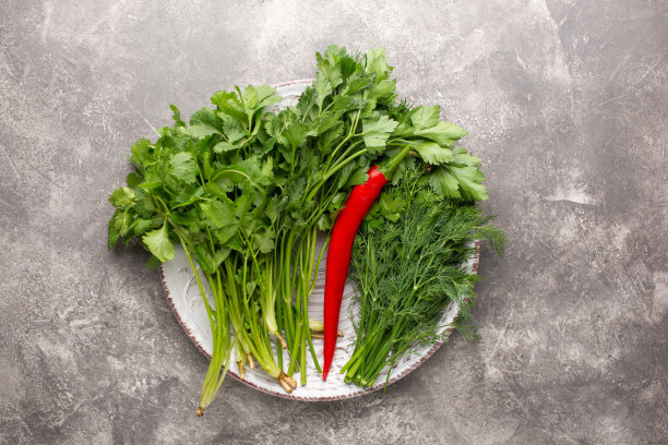 不同的新鲜蔬菜和辣椒放在一个圆盘子里。图片下载