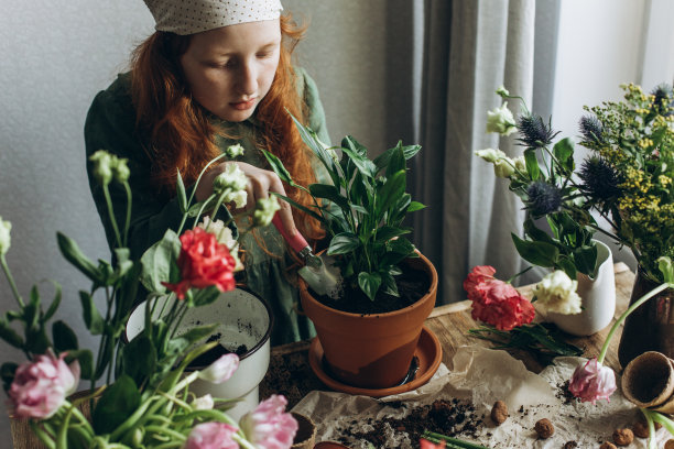红头发的小女孩摆弄着家里的花图片下载