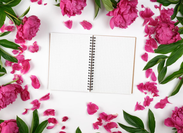 打开空白笔记本，白色的纸和盛开的红色牡丹与绿色的叶子图片下载