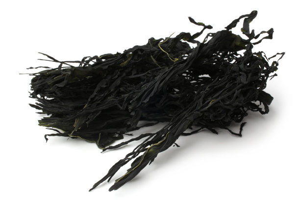 干海草图片下载