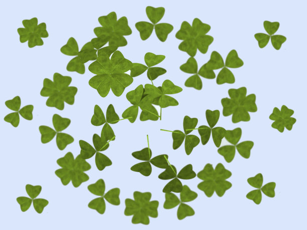 背景三叶草和四叶草的叶子在一个浅的背景上。3 d演示。圣派翠克节。图片下载