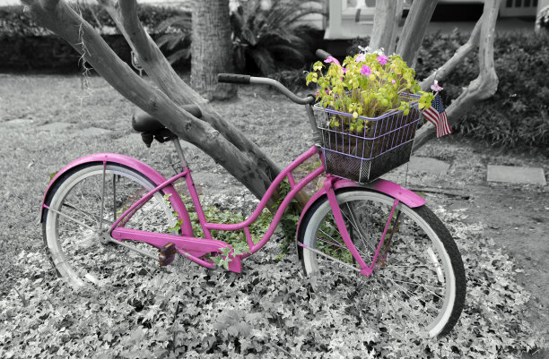 南卡罗来纳州的粉色自行车布拉夫顿图片下载