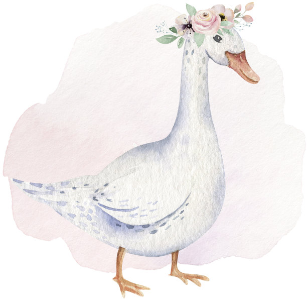 农场动物隔离集。可爱的家庭农场宠物水彩画插图。鹅宝宝卡通画。图片下载