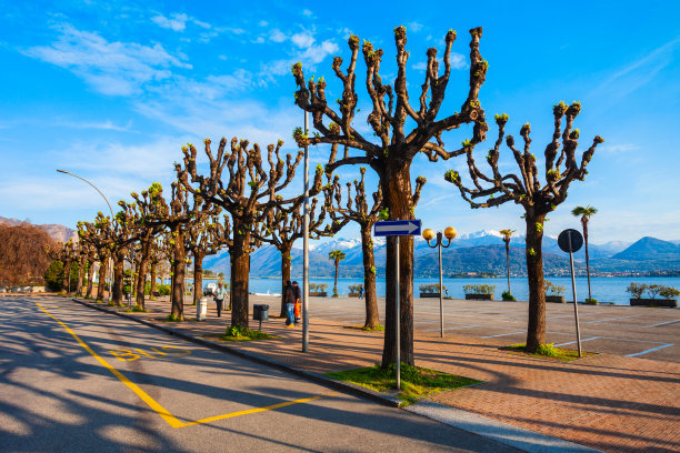 Stresa镇，Maggiore湖图片下载