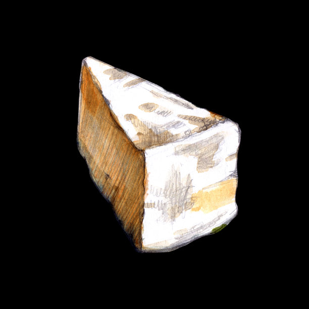 Camembert水彩插图黑色背景图片下载