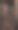 可怕的走廊图片下载