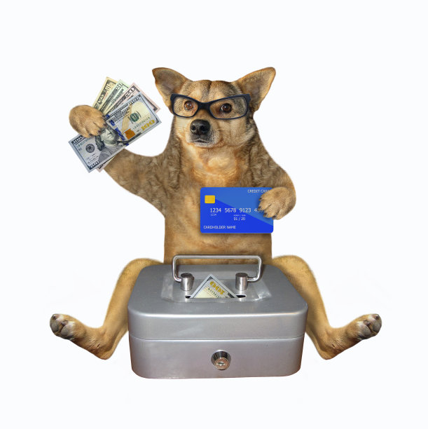 狗坐在金属保险箱图片下载