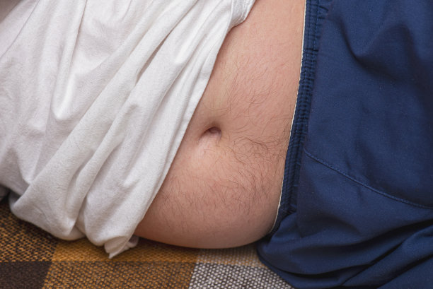 躺在沙发上的肥胖犬图片下载