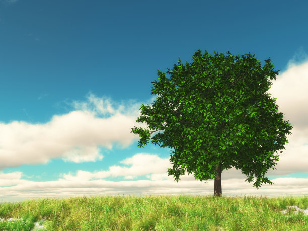 3D乡村景观与树对蓝天图片下载