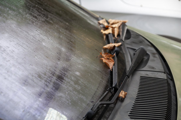 在秋天，汽车挡风玻璃被落叶覆盖的特写图片下载