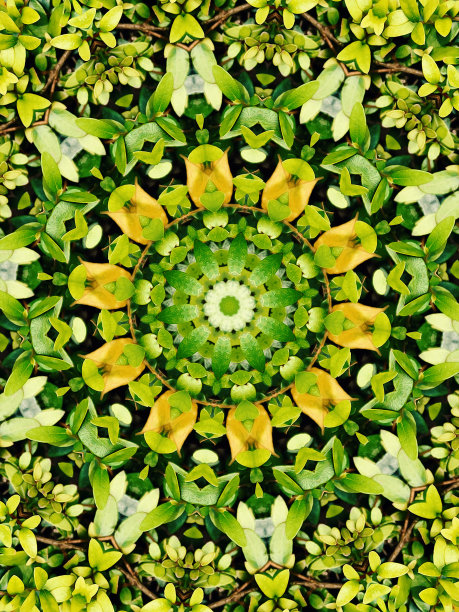 万花筒油画的叶子背景图片下载