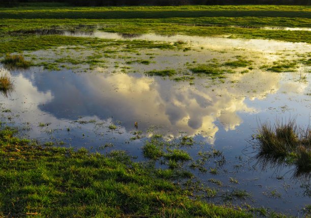 金色的云反射图片下载