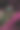 绿色植物的叶子纹理自然，绿色的背景图片下载
