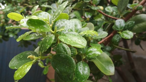 我的投资组合图片下载