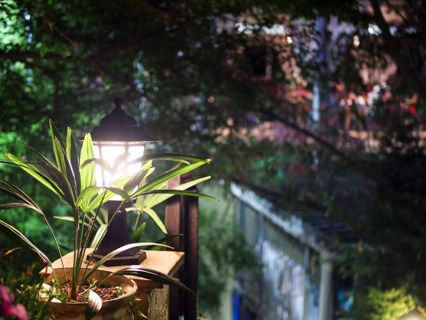 屏幕保护程序，模糊背景上的抽象照片。图片下载