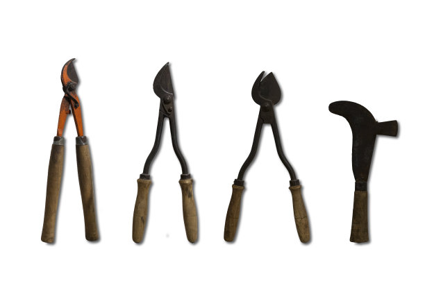 用于葡萄园工作的多种旧式修枝剪图片下载