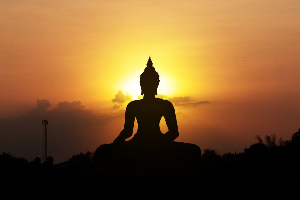 雄鸡在清晨啼叫的轮廓图片下载