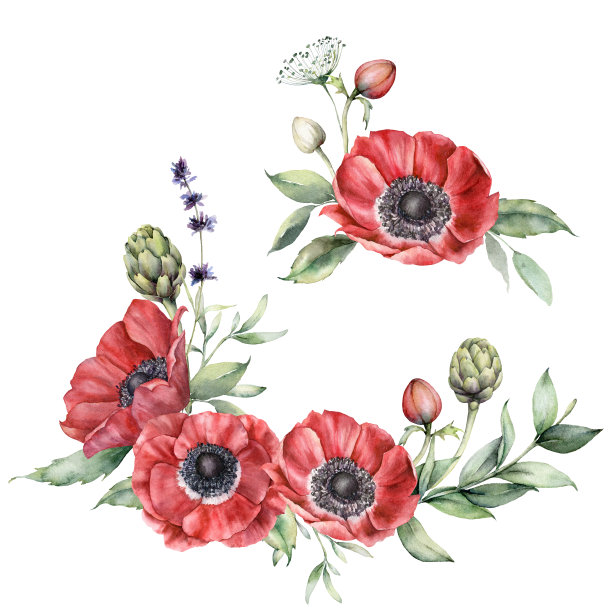 水彩花集与银莲花。手绘花，薰衣草，朝鲜蓟，芽和叶孤立在白色的背景。春季插图设计，印刷，织物或背景。图片下载