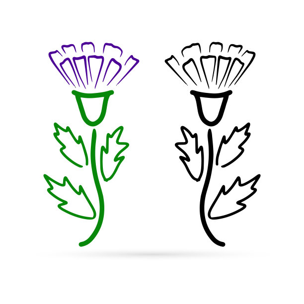 涂鸦花图标孤立在白色，孩子手绘线艺术，康乃馨矢量股票插图图片下载